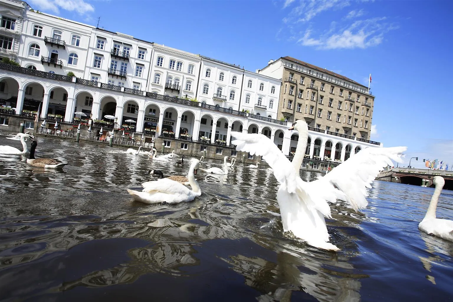 Best Western Plus Hotel St. Raphael Hamburg